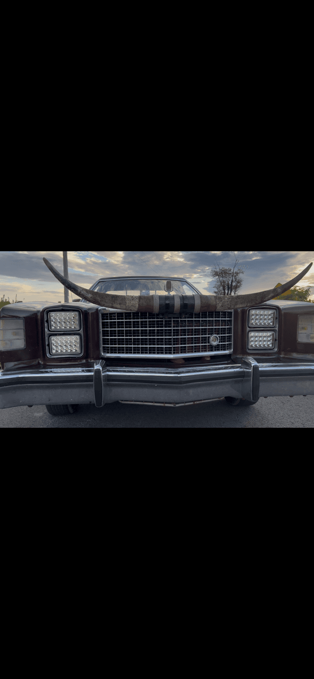 Scottsburg Longhorn Cruiser - Image 1