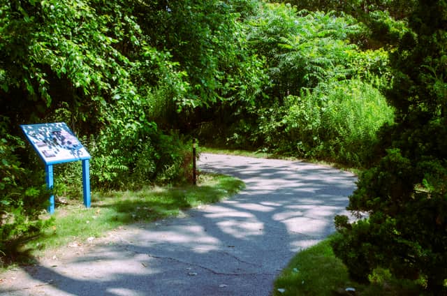 Muskegon Lakeshore Trail - Image 1