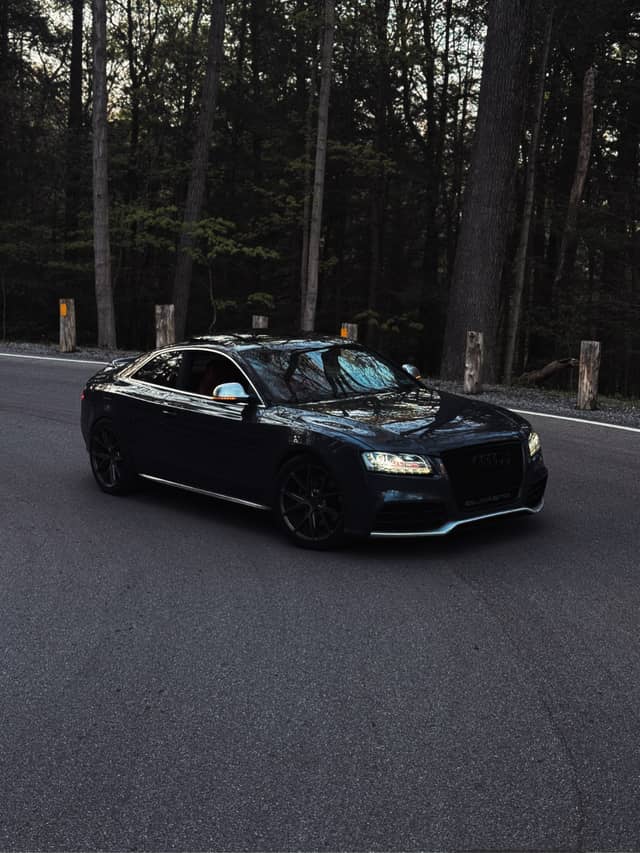 Mill Creek Park Forest Road - Image 1
