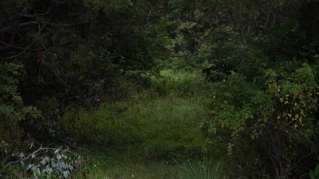 Silver Lake Regional Park - Image 1