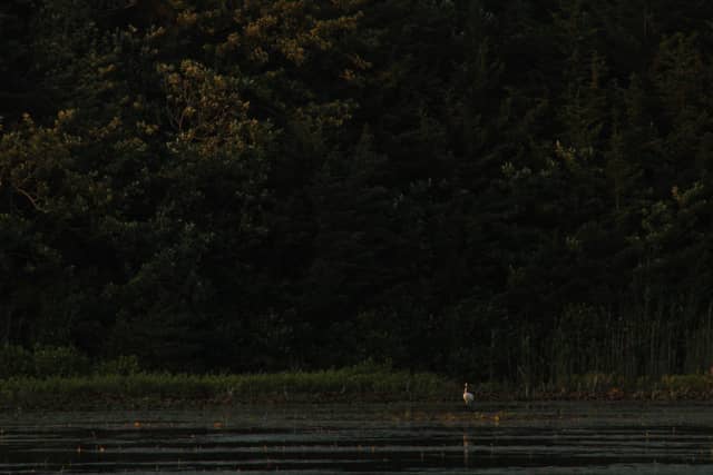 Tuckerton Creek Marshlands - Image 1