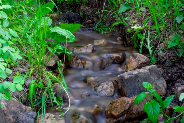 Morgan Valley Creek - Image 1