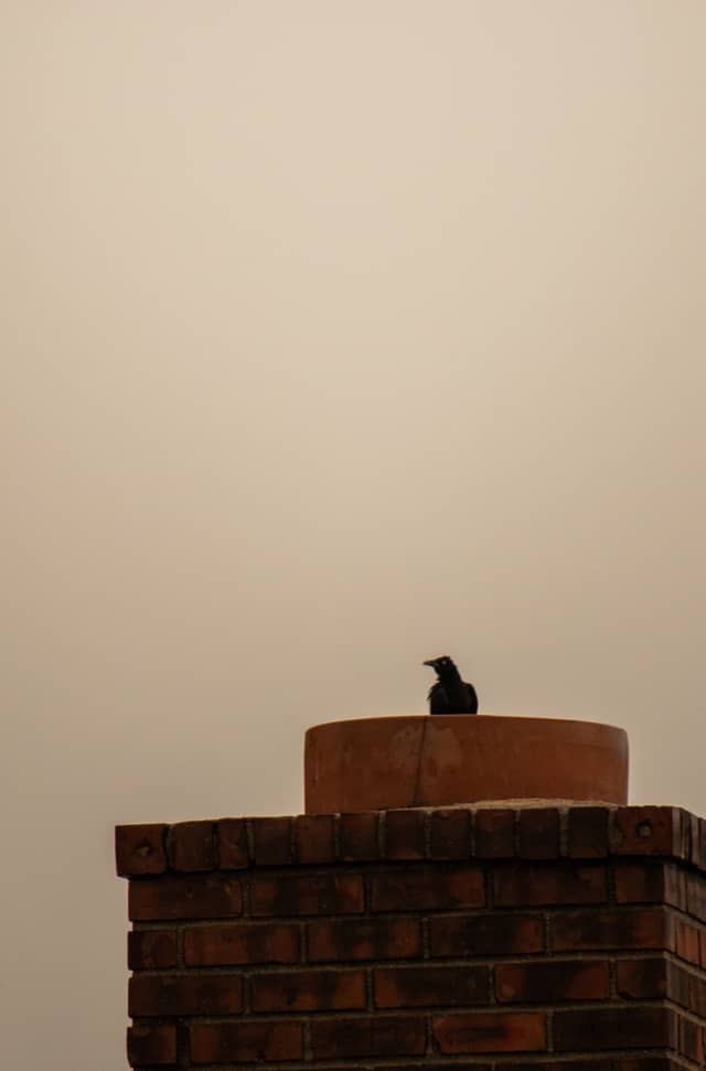 Elizabeth Residential Rooftops - Image 1