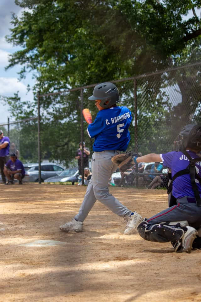 Page Park Baseball Fields - Image 1
