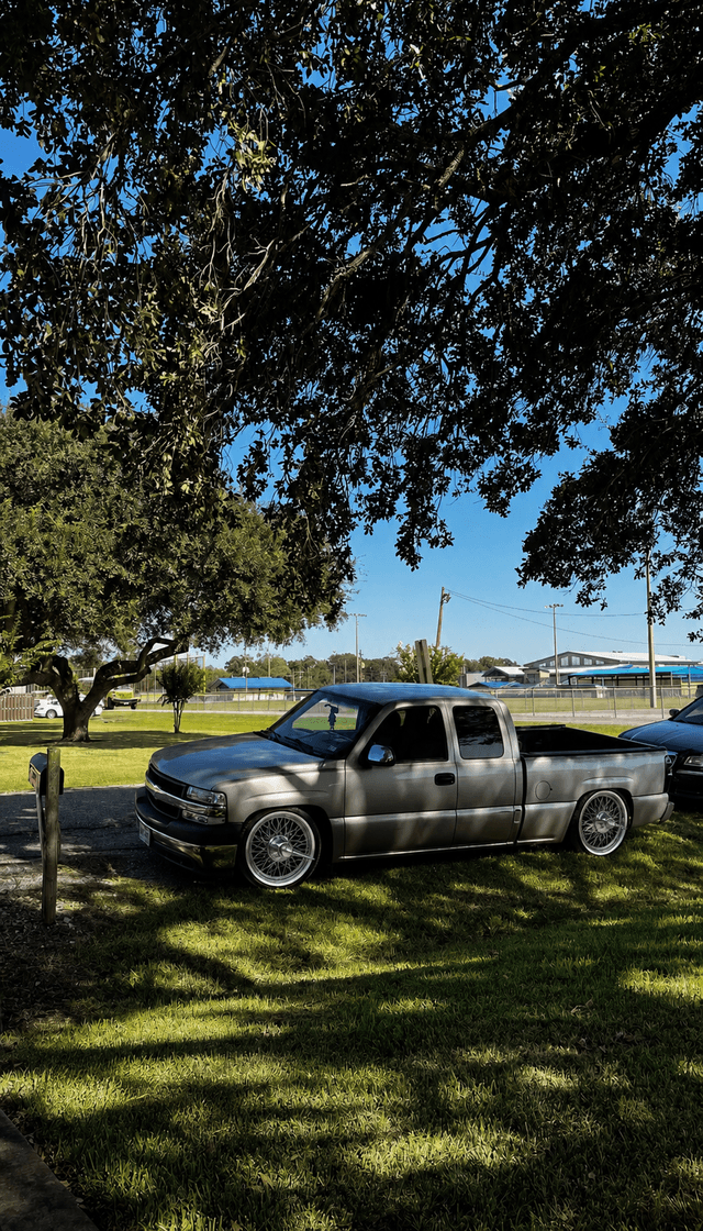 Winnie Oak Tree Park - Image 1
