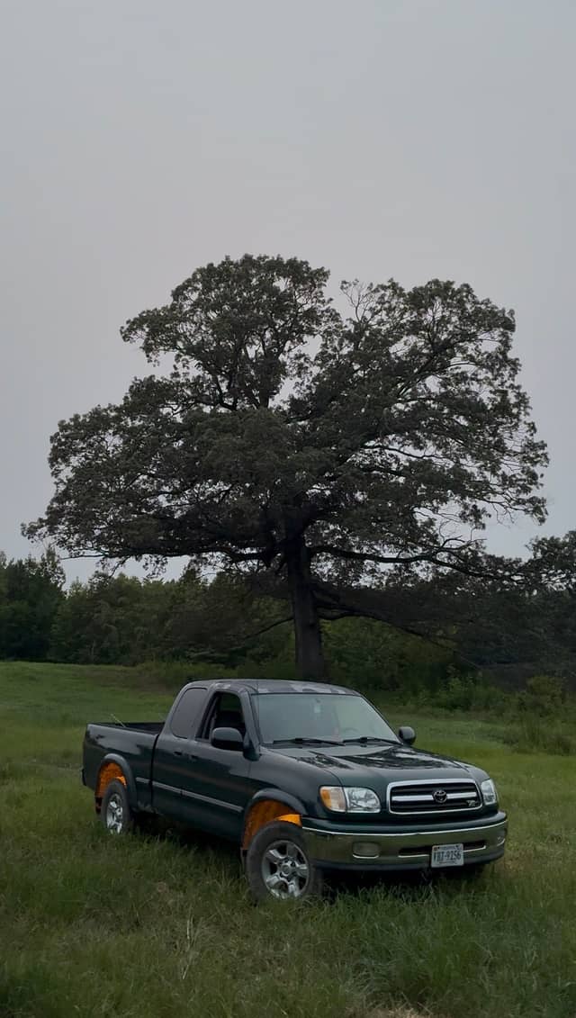 Capron Countryside Field - Image 1