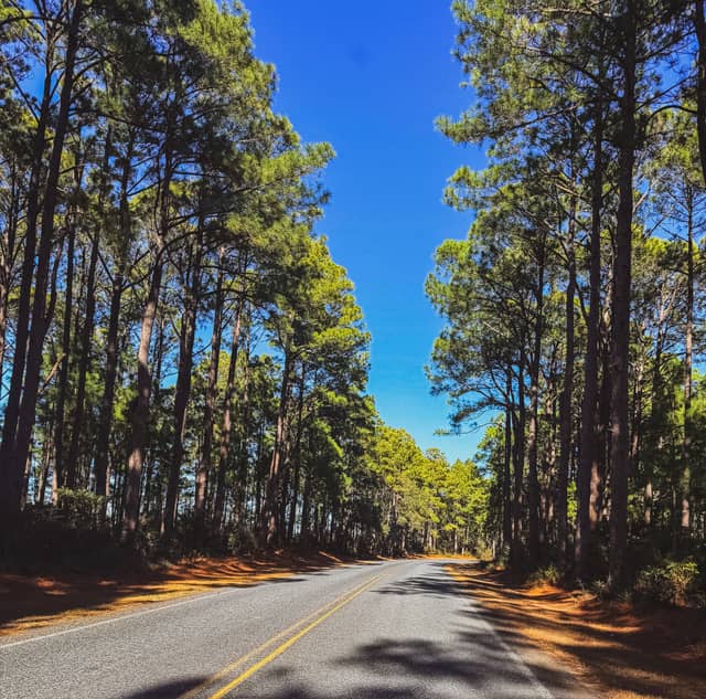 Bodie Island Lighthouse Road - Image 1