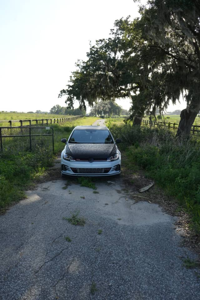Ocala Horse Country Backroad - Image 1