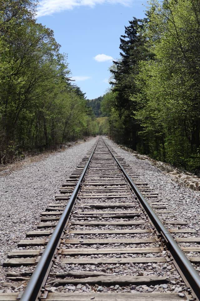 Michigan City Railroad Corridor - Image 1