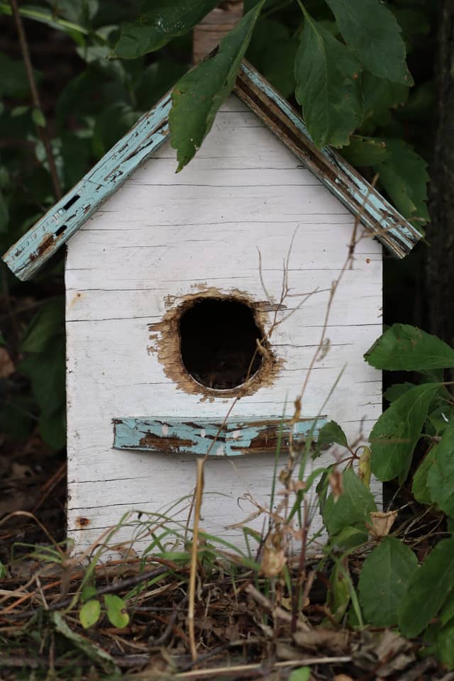 Broadway Garden Birdhouse - Image 1