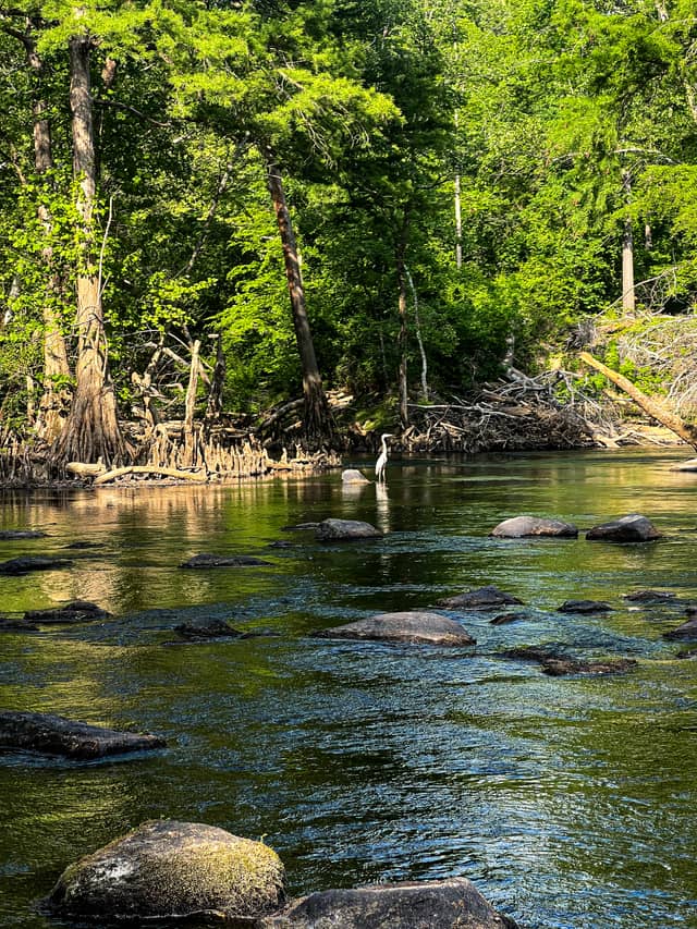 Battle Park on the Tar River - Image 1
