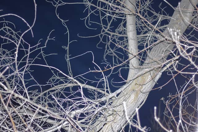 Layton Winter Nightscape - Image 1