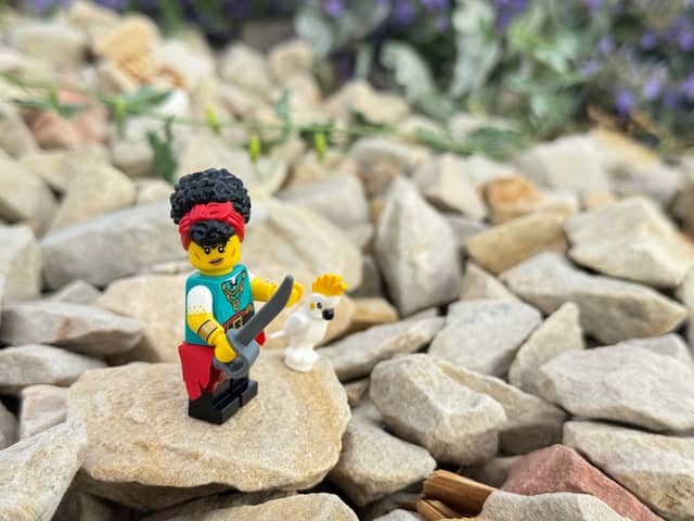 Eagle Mountain Rock Garden - Image 1