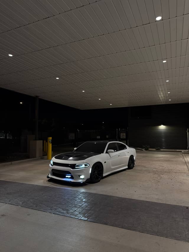 Modern Canopy Night Spot - Image 1