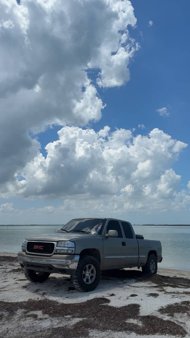 Dunedin Causeway - Image 1
