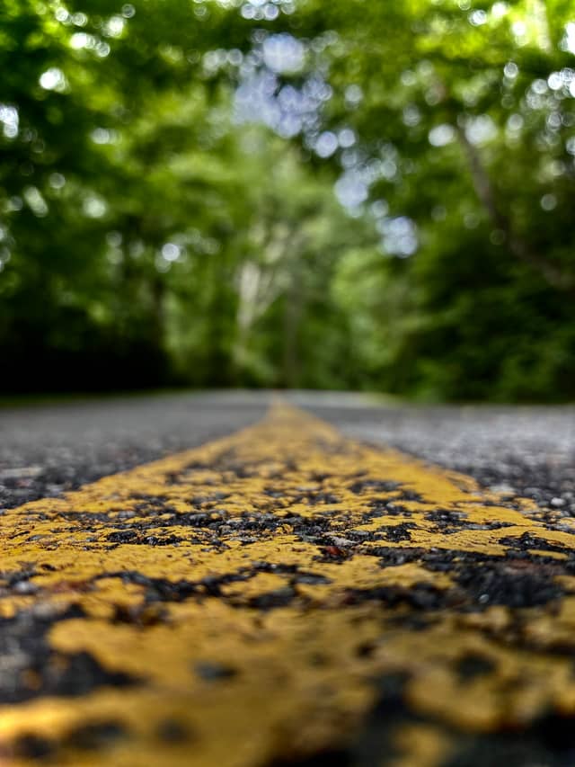 Linville Forest Road - Image 1