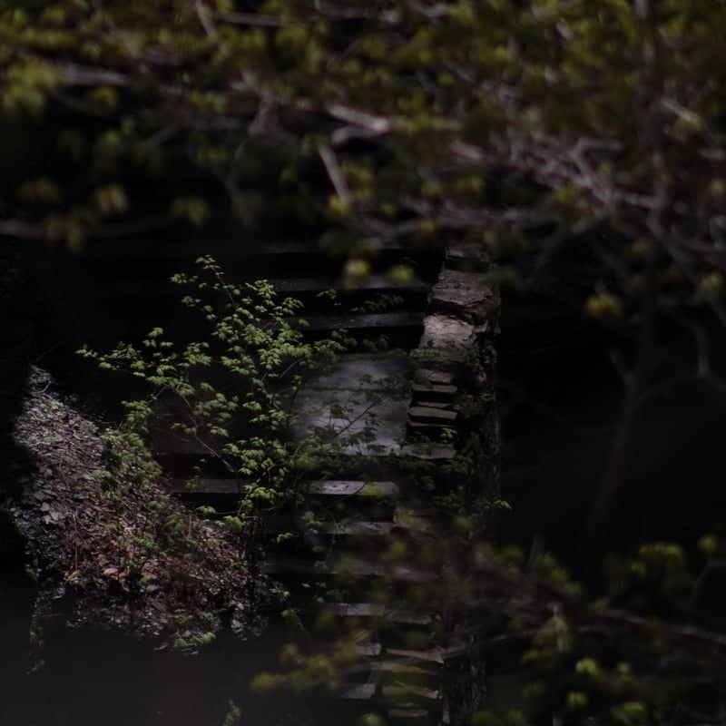 Watkins Glen State Park - Image 1