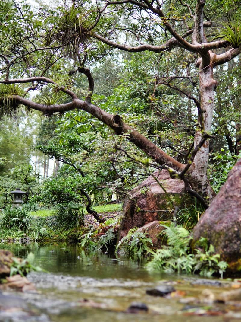 Morikami Museum and Japanese Gardens - Image 1