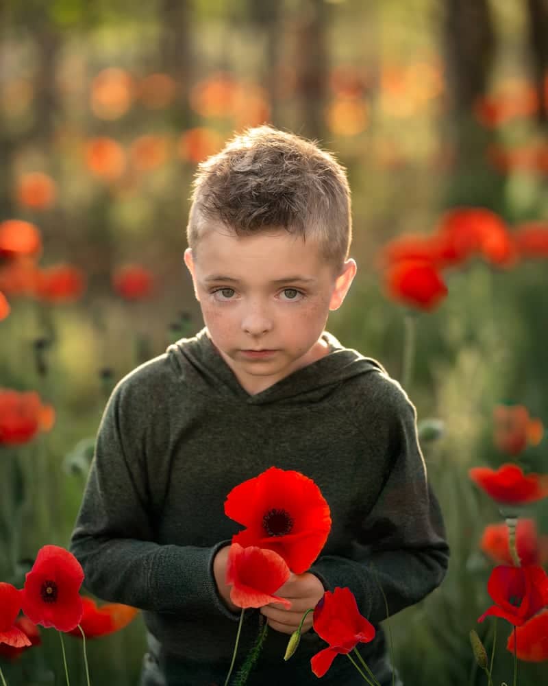 Alpine Poppy Fields - Image 1