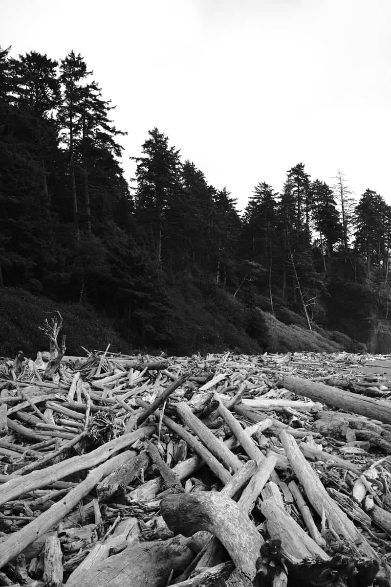 Ruby Beach - Image 1
