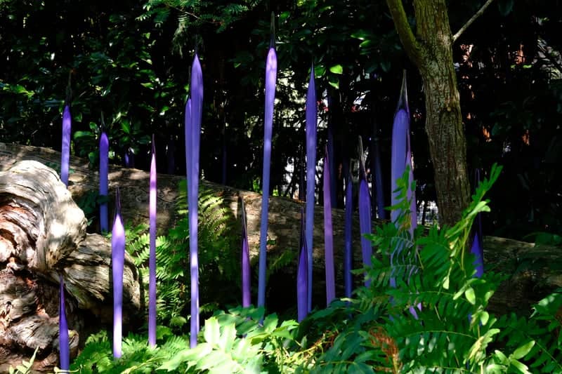 Chihuly Garden and Glass - Image 2