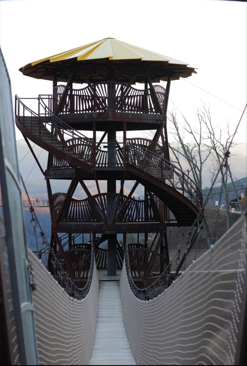 AnaVista Tower at Anakeesta - Image 1
