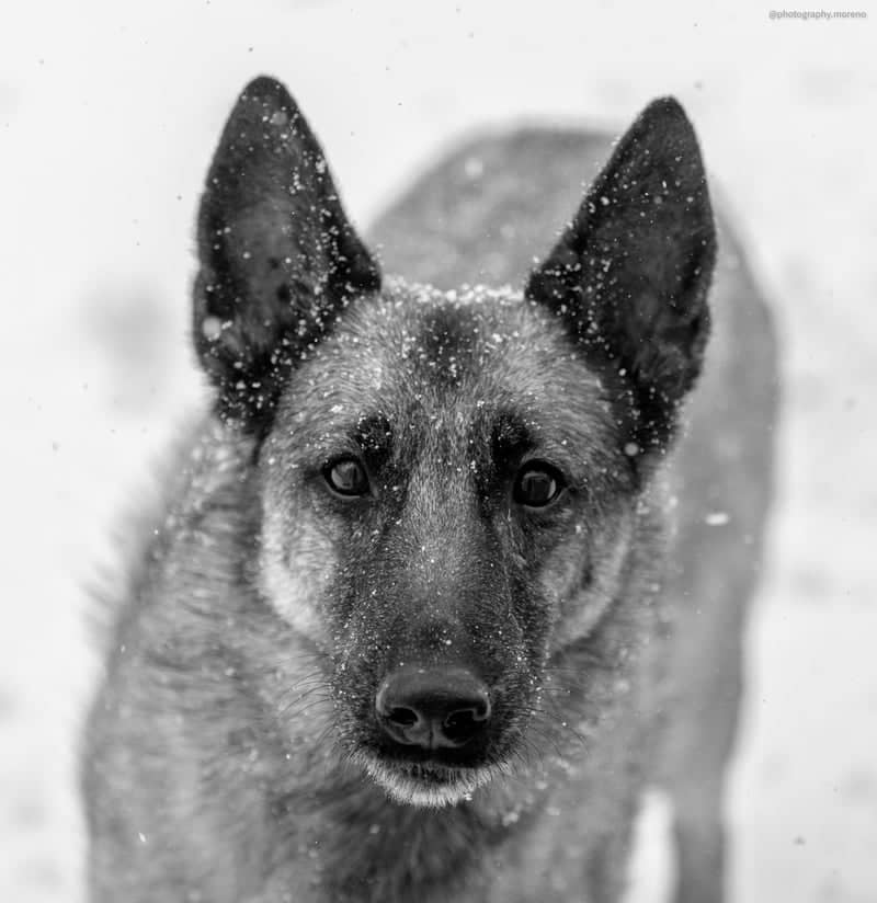 Hanscom Park Winter Grounds - Image 1
