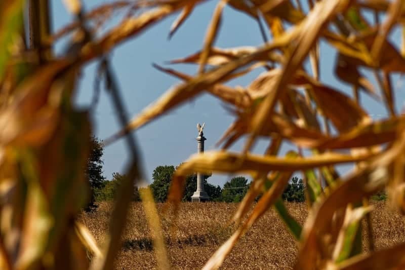 Antietam National Battlefield - The Cornfield - Image 1