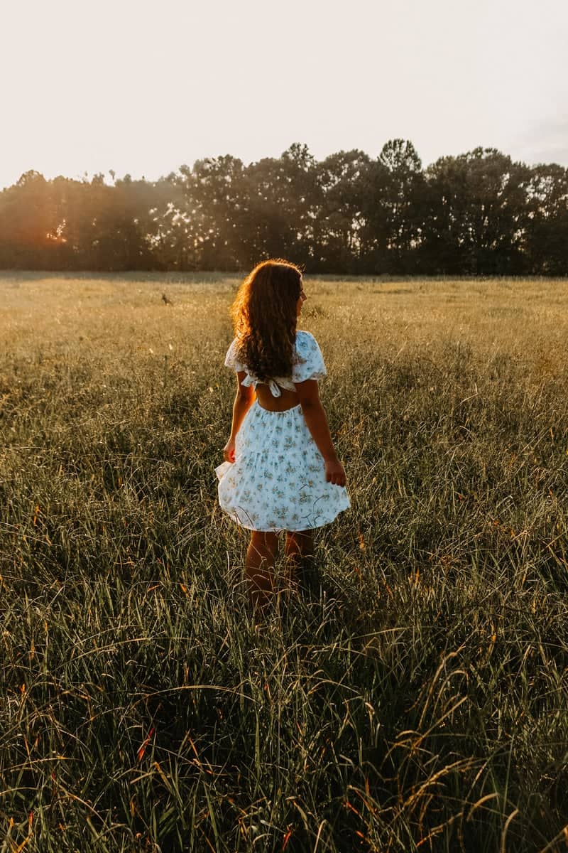 Cleburne County Sunlit Meadow - Image 1