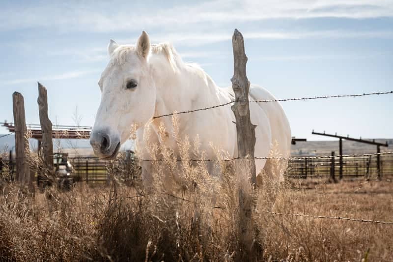 Panguitch Valley Ranch - Image 1