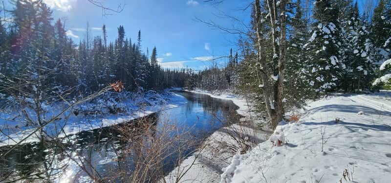 Mason Tract Pathway - Au Sable River Bend - Image 1