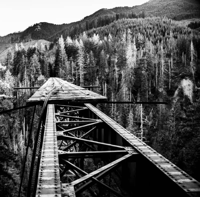 Vance Creek Bridge - Image 1