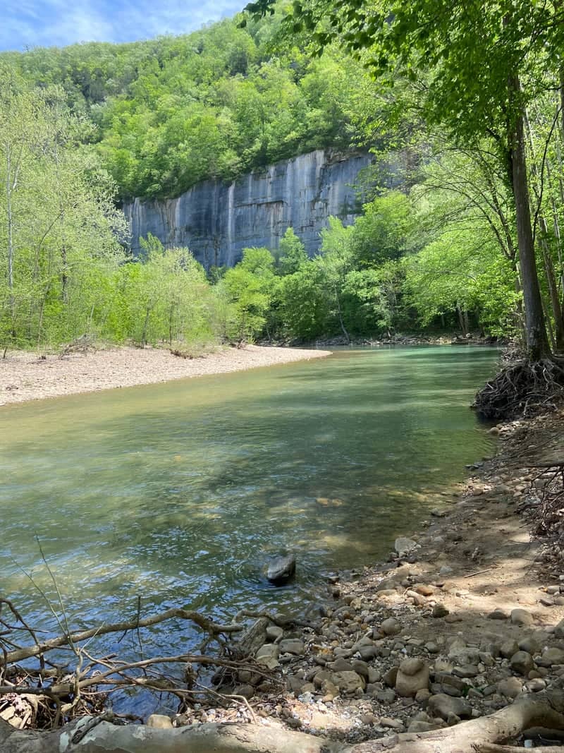 Roark Bluff, Buffalo National River - Image 1