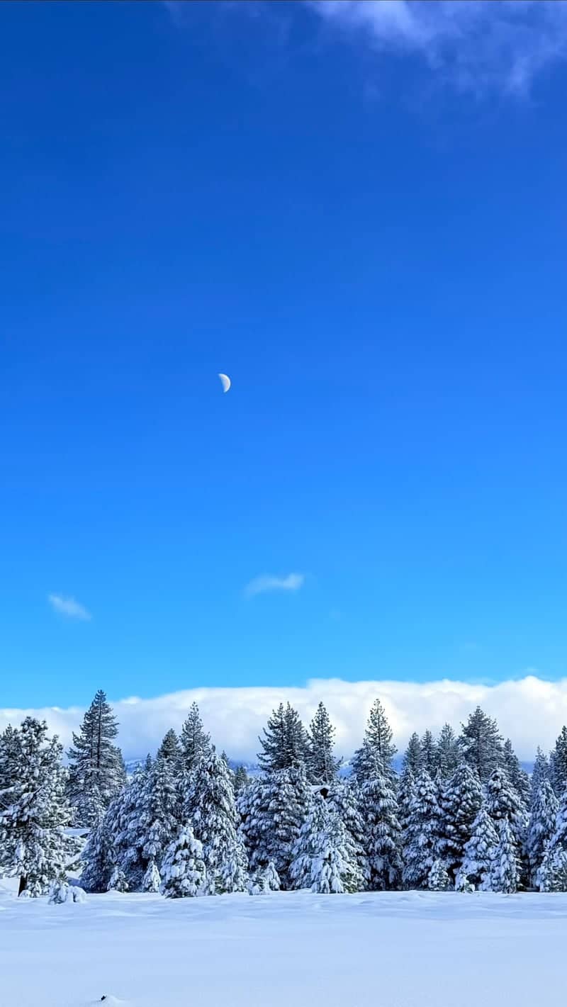 Truckee Winter Meadow - Image 1