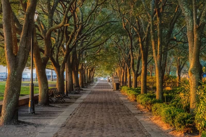 Joe Riley Waterfront Park Promenade - Image 1