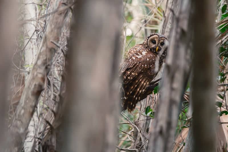 Everglades National Park - Image 1