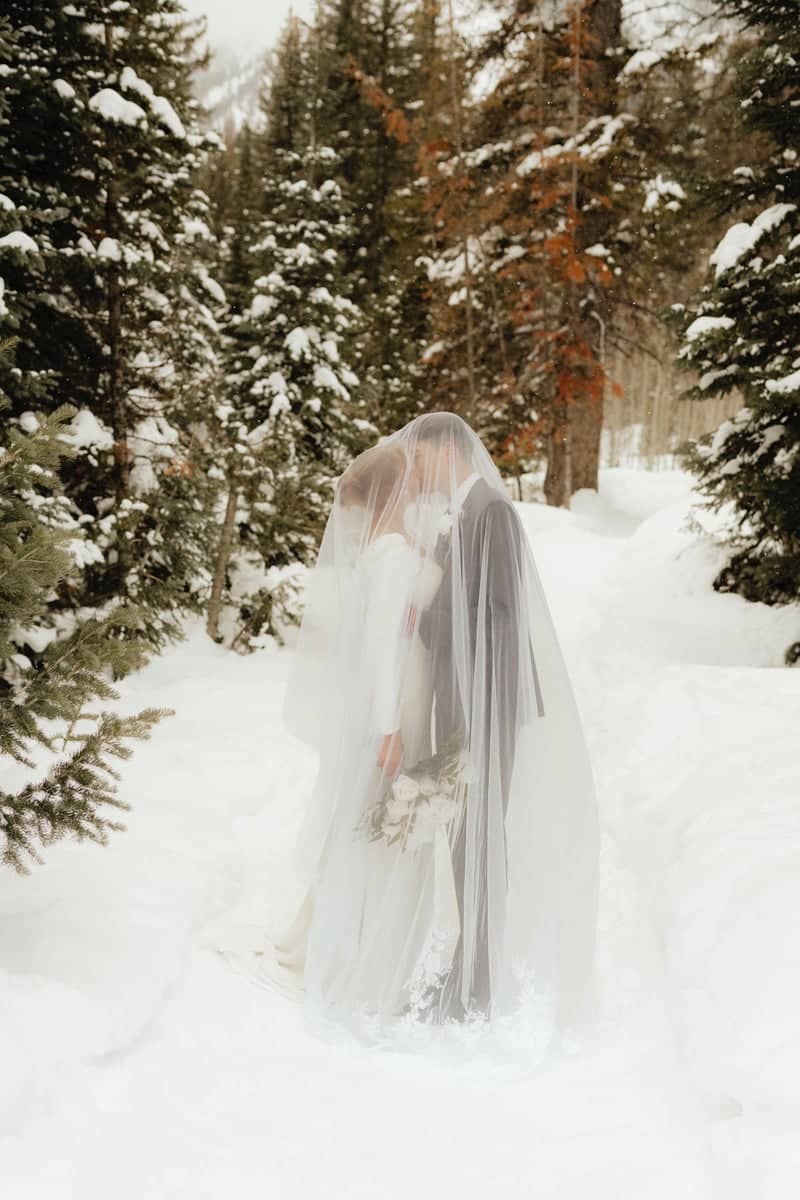 Cardiff Fork, Big Cottonwood Canyon - Image 1