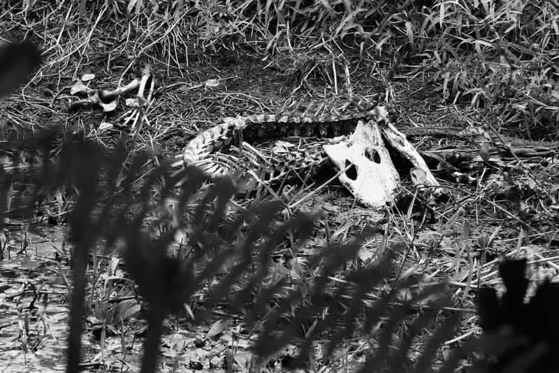 Big Cypress Seminole Indian Reservation - Image 1