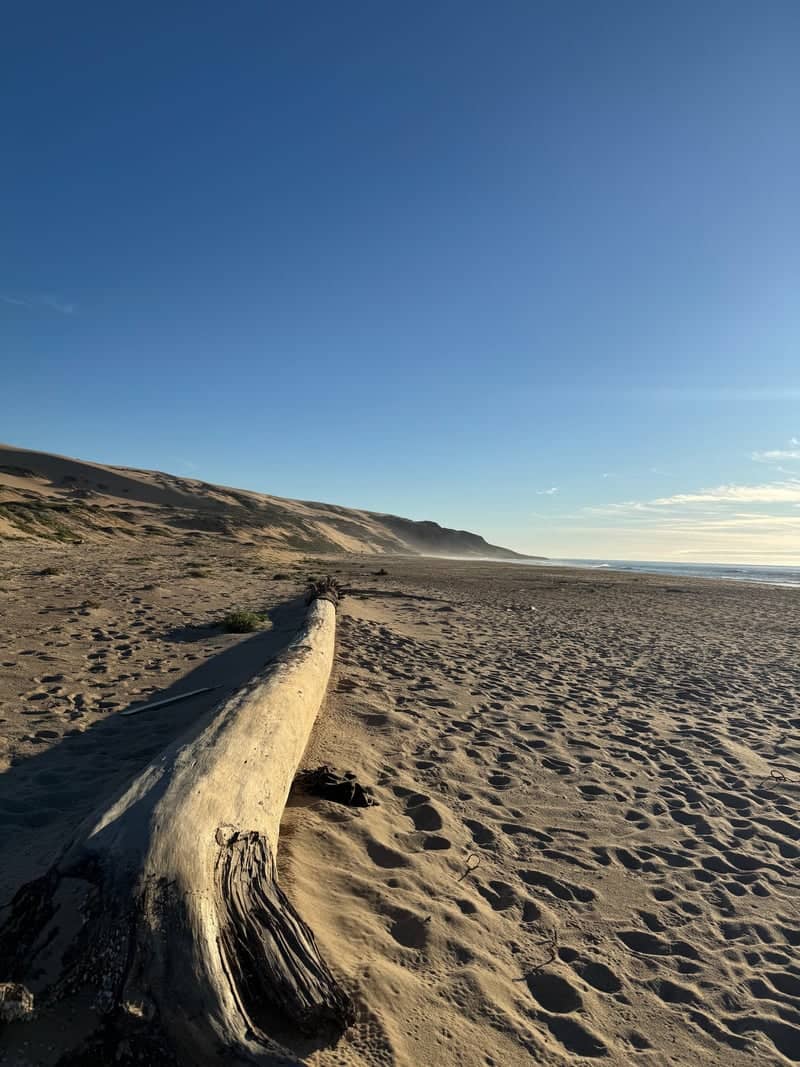 Oso Flaco Beach - Image 1