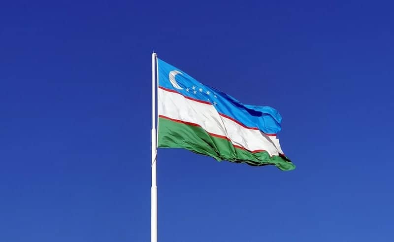 Uzbekistan Flag Display - Image 1