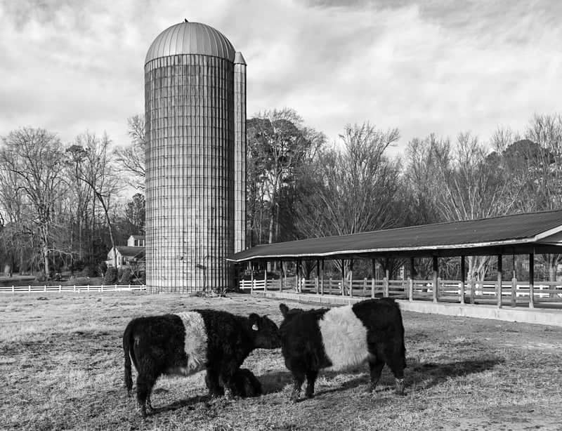 Fearrington Village Farm - Image 1