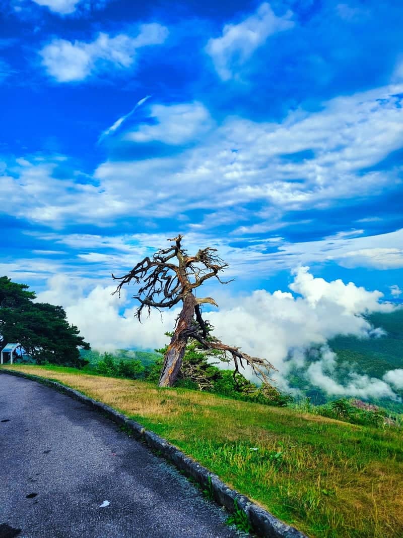 Blue Ridge Parkway Overlook - Image 1