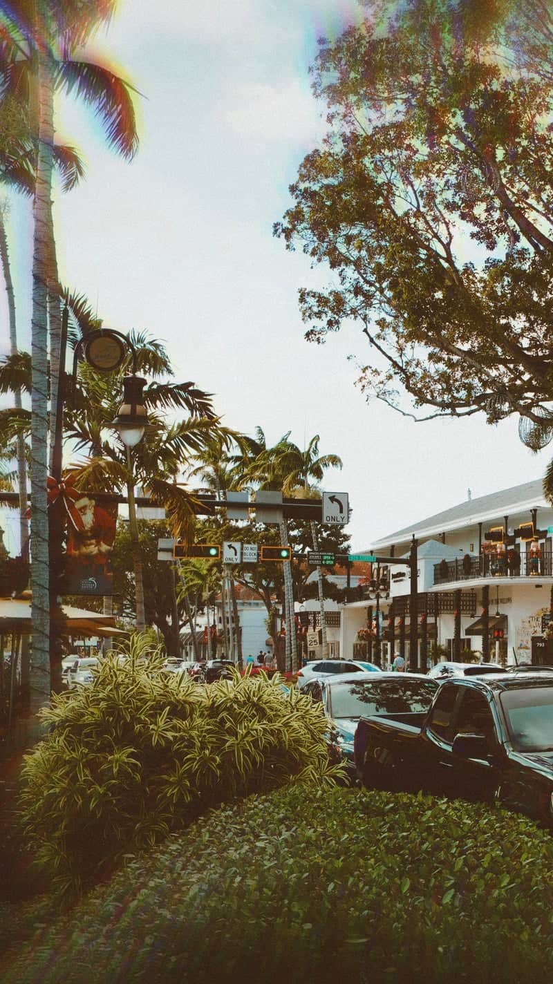 Fifth Avenue South District - Image 1