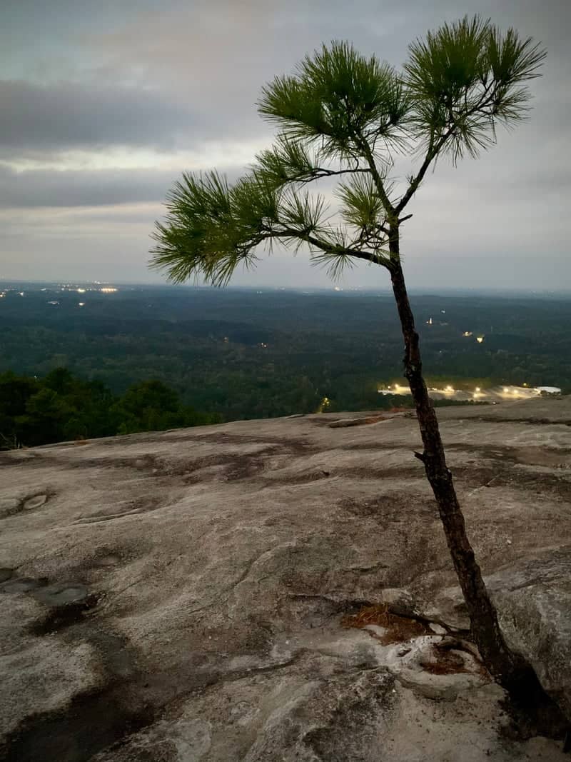 Stone Mountain Summit - Image 1