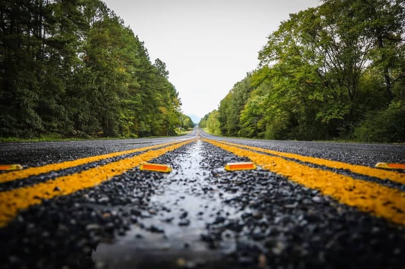 Caddo Forest Road - Image 1