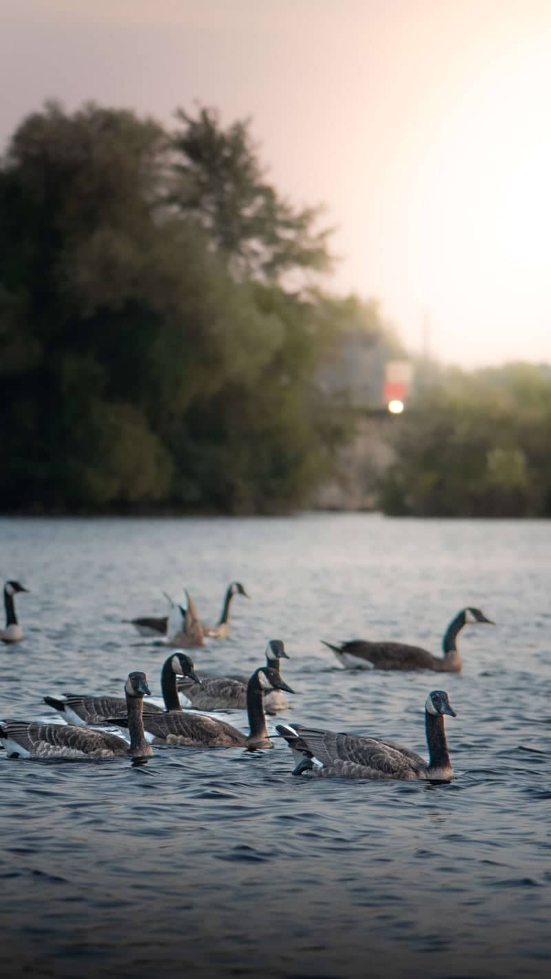 Shade's Mills Conservation Area - Image 1
