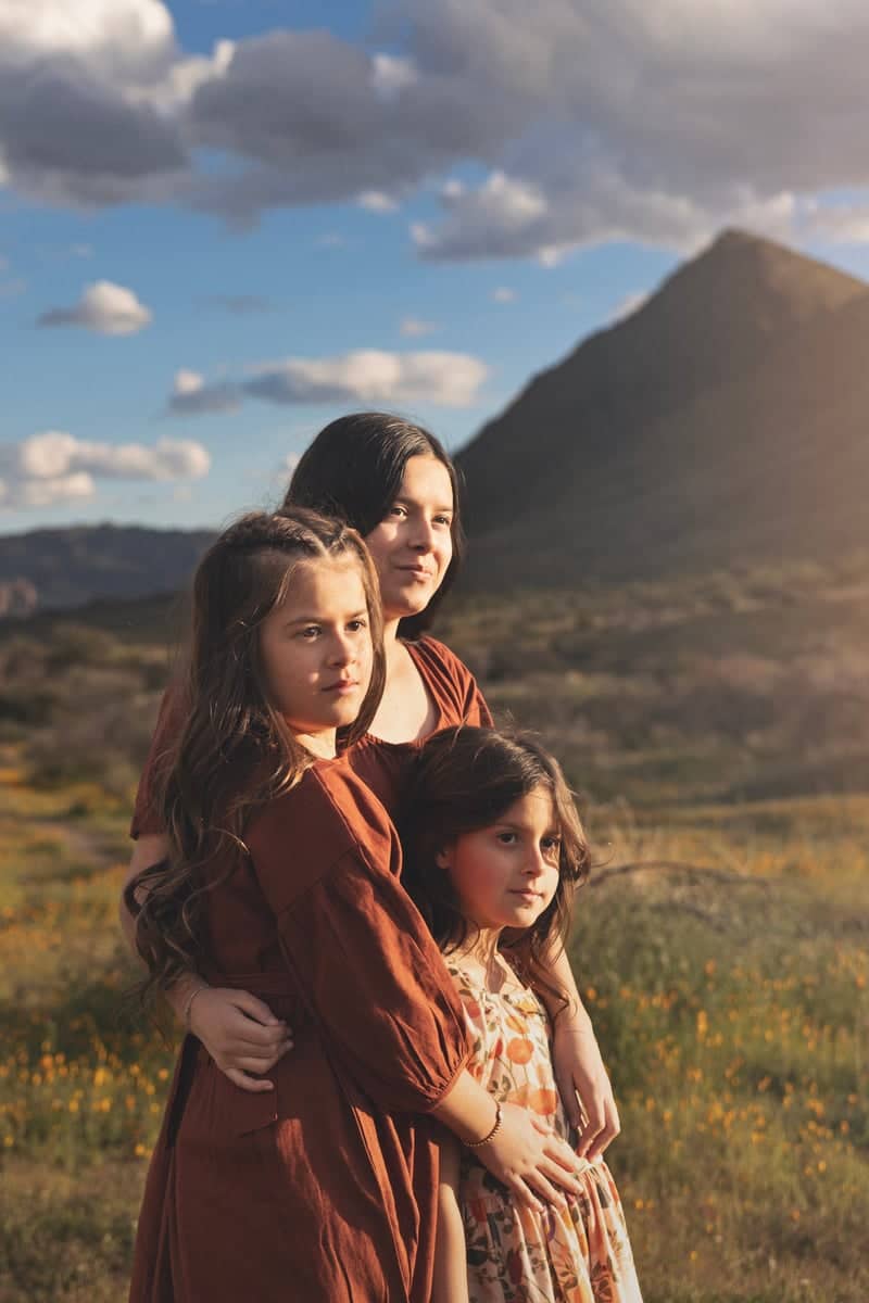 Red Mountain Wildflower Field - Image 1