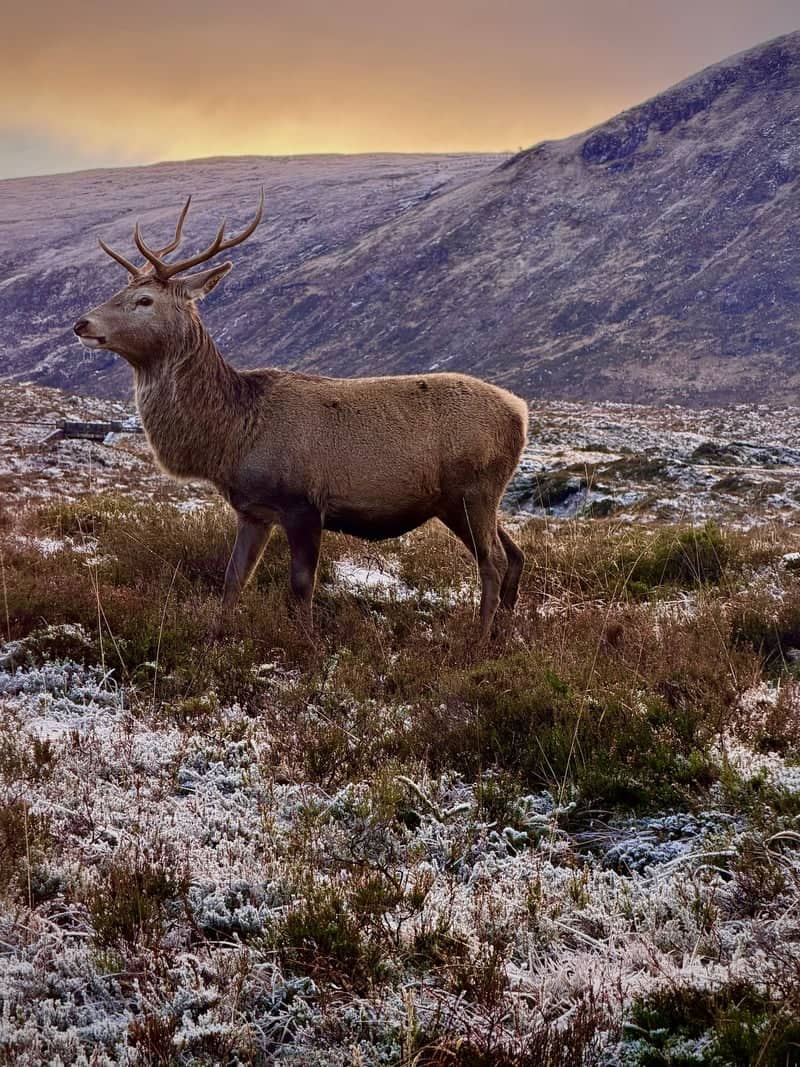 Glencoe Valley - Image 1