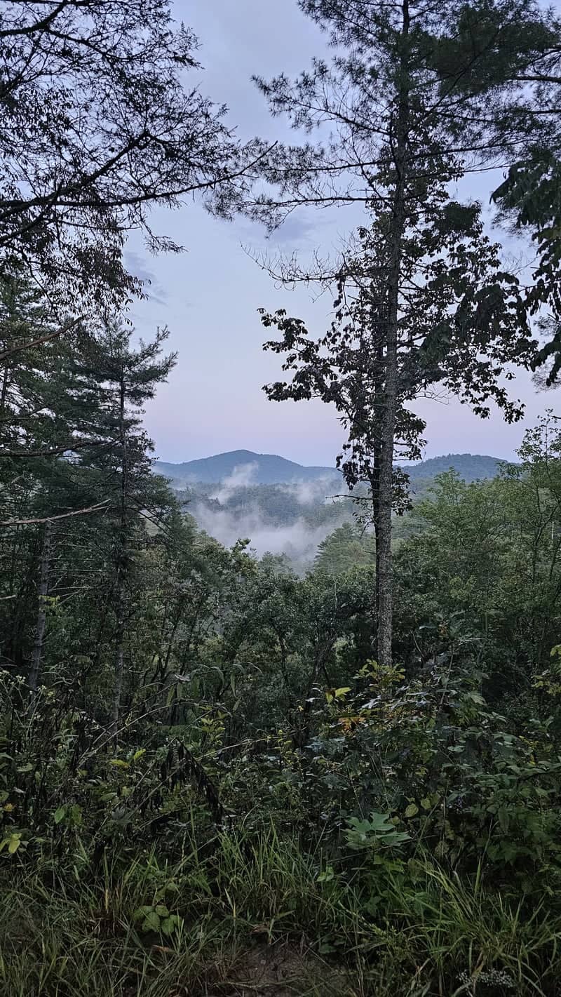 Chattahoochee National Forest Overlook - Image 1