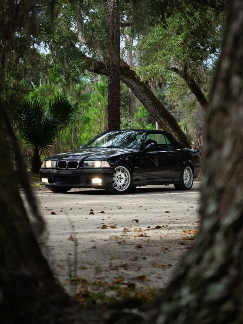 Palm Coast Wooded Trail - Image 1
